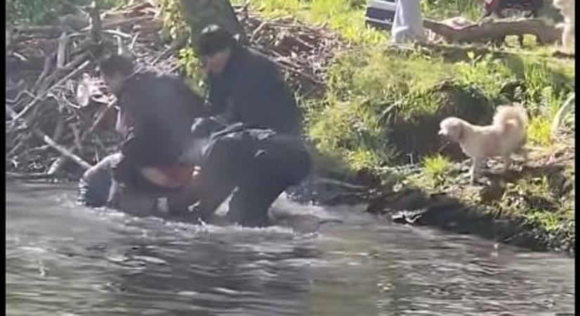 Veszett hód tartotta rettegésben a helyieket - Rátámadt egy 8 éves kisfiúra is - VIDEÓ!