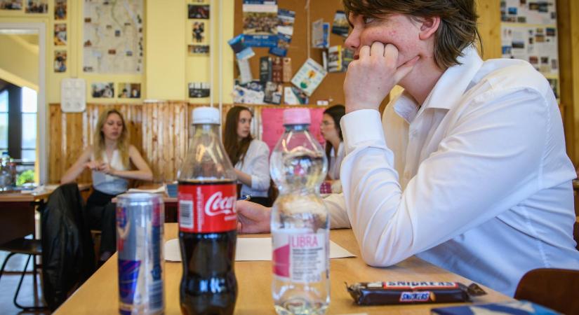 Festmények, viccek és a világ legidősebb, fogságban élő gorillája – Mutatjuk, milyen feladatokat kaptak a diákok az angolérettségin