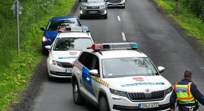 Csákánnyal, késsel verte agyon a feleségét a csömendi férfi - azt mondta, elpattant a húr