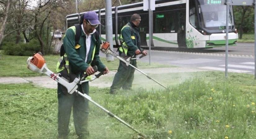 Gajdos: májusban ne vágjuk a füvet!