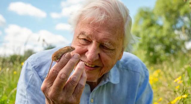Századik születésnapját ünnepli Sir David Attenborough