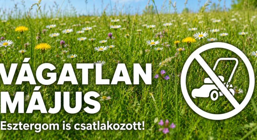 Esztergom is csatlakozott a Vágatlan május kezdeményezéshez