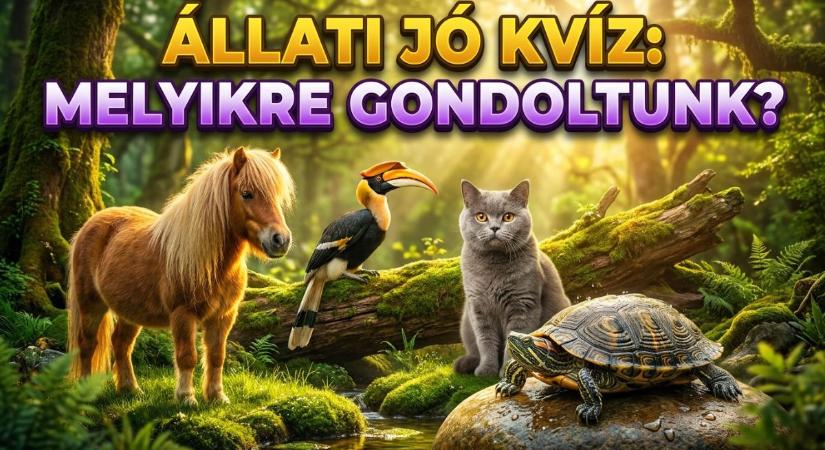 Állati érdekes kvíz: Melyik állatra gondoltunk? Vajon meg tudod mondani?