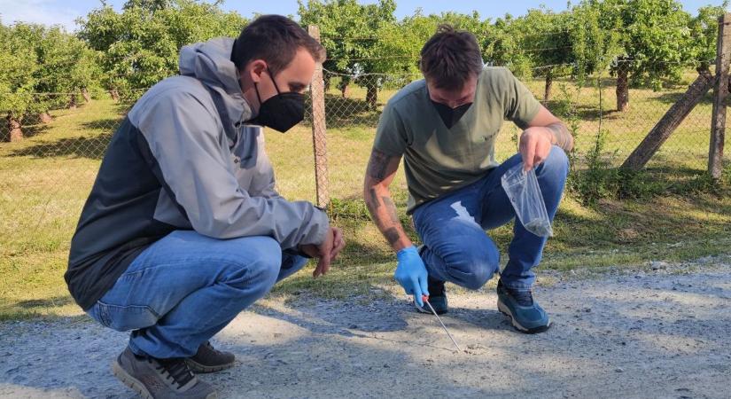 A szombathelyi erdészet is vizsgálja a lehetséges azbeszt szennyezettséget Vas vármegyében