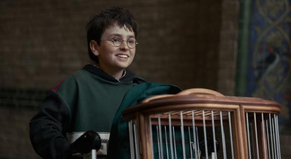 Tovább zakatol a Roxfort Expressz, máris készül a Harry Potter-sorozat 2. évada!