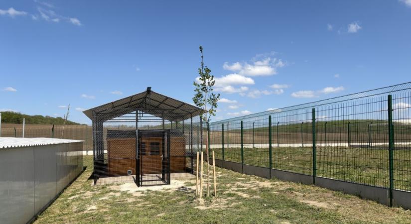 Jelentős előrelépés történt az állatvédelemben