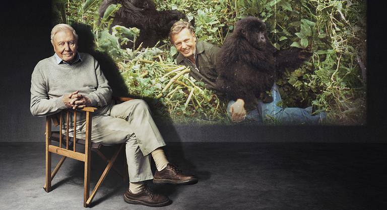 Ha valaki, a 100. születésnapjára készülő David Attenborough tudja a hosszú élet titkát