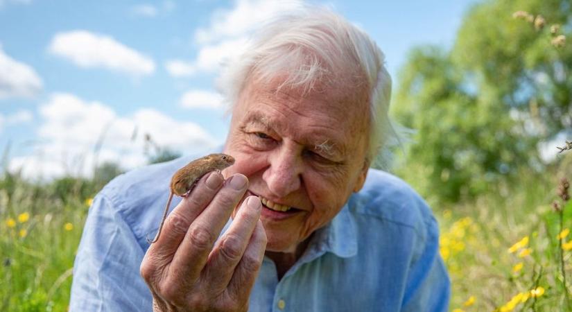Az idén 100 éves Sir David Attenborough nyomdokaiban jár a Heves megyei hobbi természetfotós is