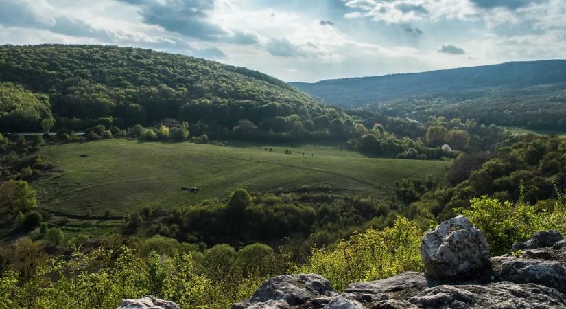 Elképesztő természeti kincset rejt a Bakony, sokan még csak nem is sejtik