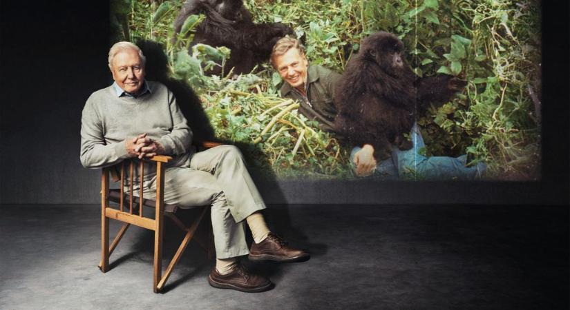 Egy rendkívüli és ritka élőlény – David Attenborough 100 évesen is a bolygónk szinkronhangja