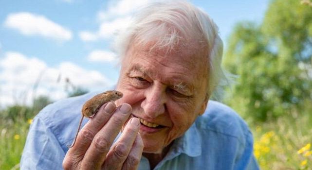 100. születésnap – Attenborough a természet megmentője, a világ tanára
