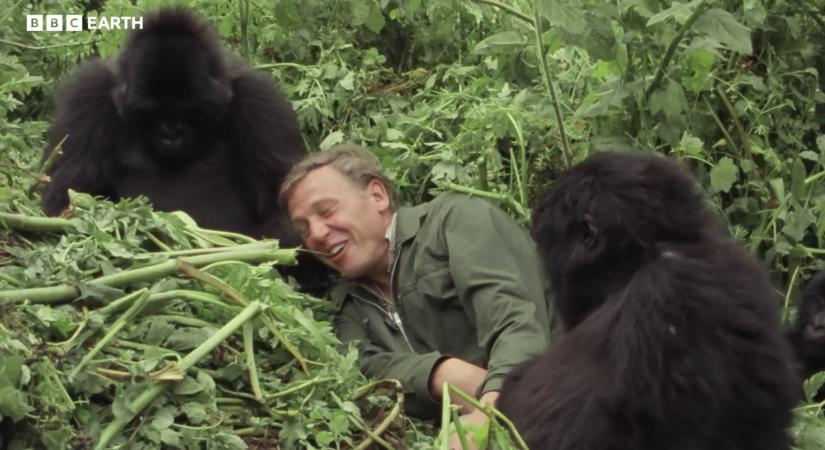 100 éves a gordonkahangon búgó vicces brit úriember, aki egyszer megengedte egy gorillának, hogy a szájába dugja az ujját