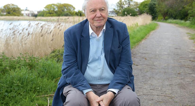 David Attenborough kivételes élete – 100 éves a bolygónk lelkiismerete