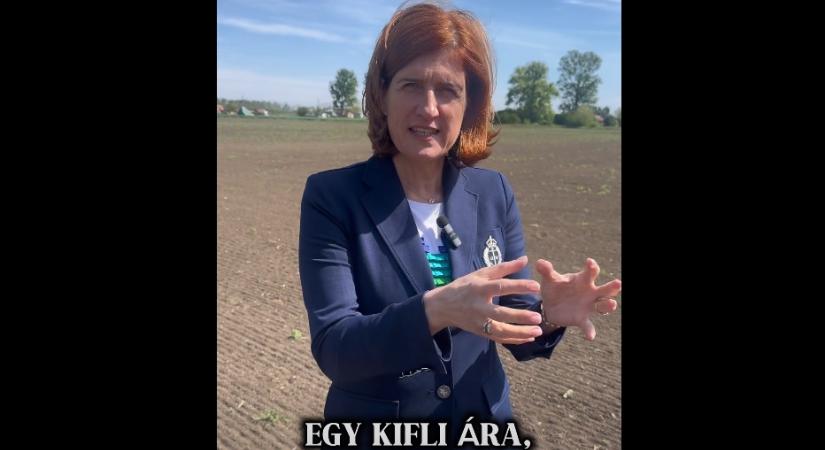 100 forint egy telek – új kedvezményes lakhatási program indul Hajdúnánáson