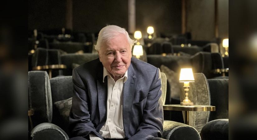 Száz év a természet szolgálatában – Sir David Attenborough, a bolygó lelkiismerete