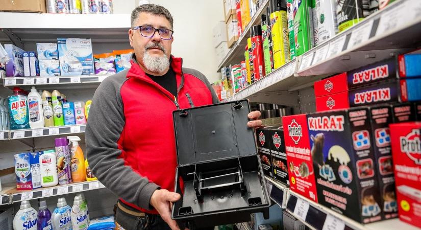 Tényleg elszaporodtak a patkányok Győrben? Utánajártunk