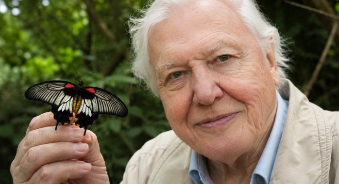 A Föld hangja százéves: Boldog születésnapot, Sir David Attenborough!