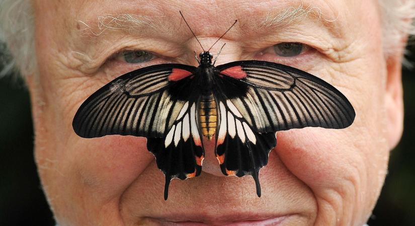 100 éves a legenda: Sir David Attenborough előtt tiszteleg a világ – Töltse ki a születésnapi kvízünket!