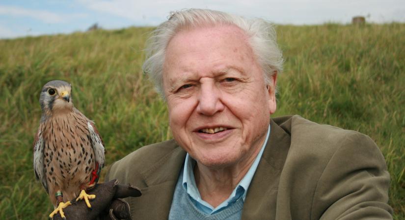 [PORTRÉ] 100 éves David Attenborough, bolygónk csodálója és védelmezője, aki több ízben tévétörténelmet írt