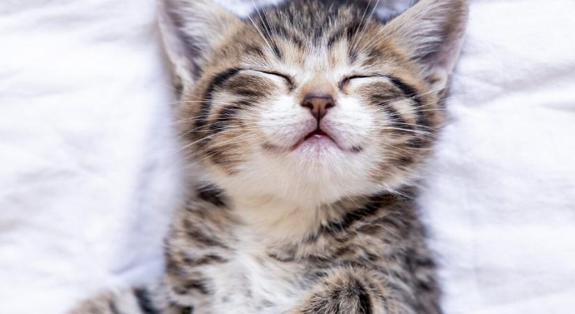 Well-being: ezt tedd meg már napközben, hogy jól aludj este