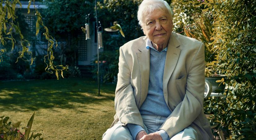 Nem kell a világ végére utaznunk a természeti csodákért, üzeni a ma 100 éves David Attenborough legújabb filmje