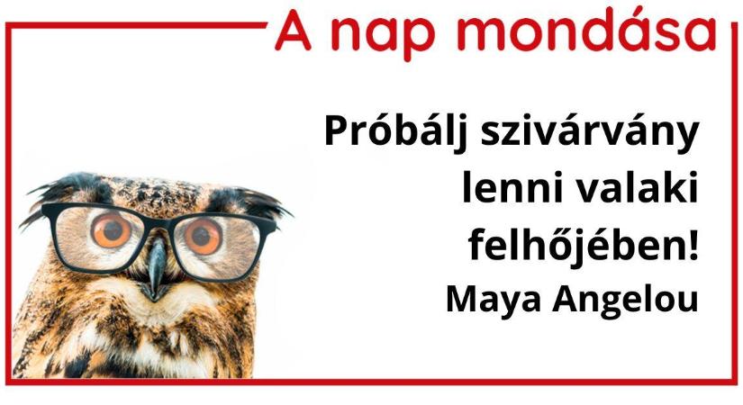 A nap mondása