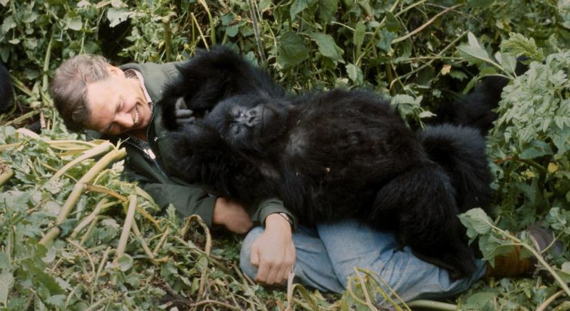 Százéves lett David Attenborough, így búcsúzik a közönségétől