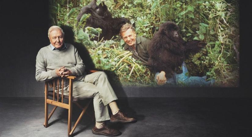 A BBC Earth két vadonatúj filmmel ünnepli az ikont