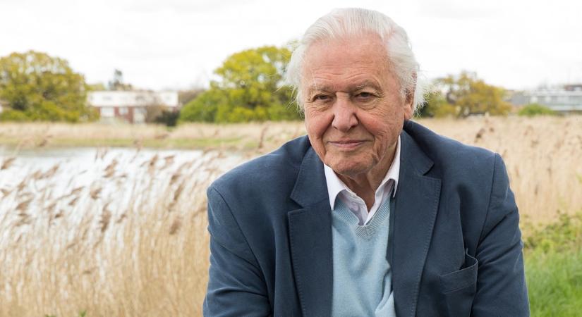 A 100 éves Sir David Attenborough csodálatos élete fotókon