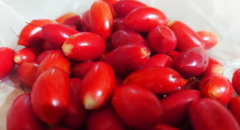 Döbbenetes felfedezés: Ez a gyümölcs nemcsak a cukorbetegeken, hanem a kemoterápián átesőkön is segíthet