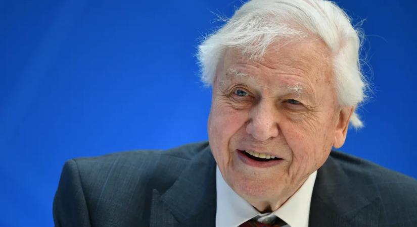 David Attenborough 100 éves