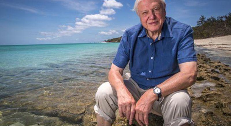 Százéves David Attenborough ikonikus természettudós, világhírű ismeretterjesztő (VIDEÓ)