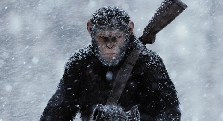 Hollywood nem képes elengedni A majmok bolygóját, újabb film van készülőben