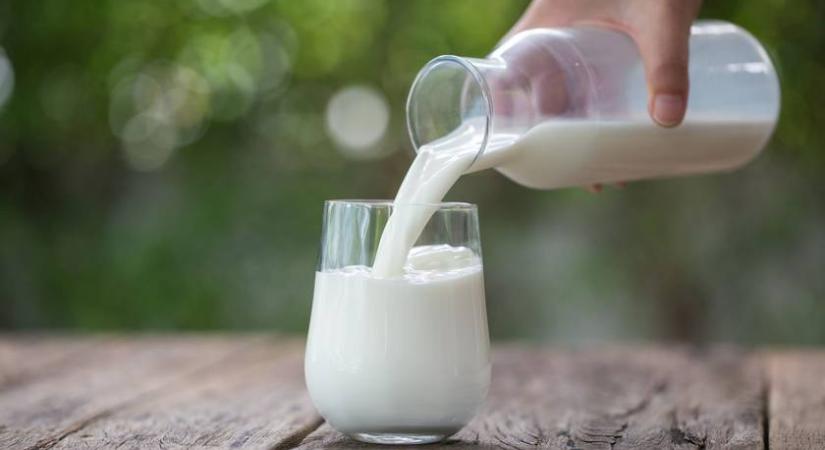 Ne idd meg, ha ilyen tejet vásároltál! Már akkor lejárt, amikor forgalomba hozták