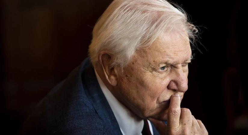 100 éves Sir David Attenborough – Egy évszázad a természet szolgálatában