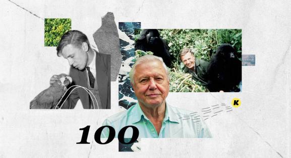 100 éves David Attenborough, aki a természetnek adta a főszerepet