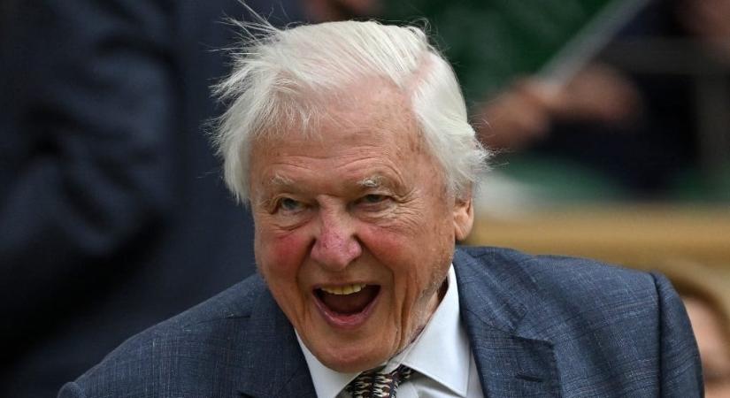 Meglepetéssel köszönti a Google Sir David Attenborough-t 100. születésnapján