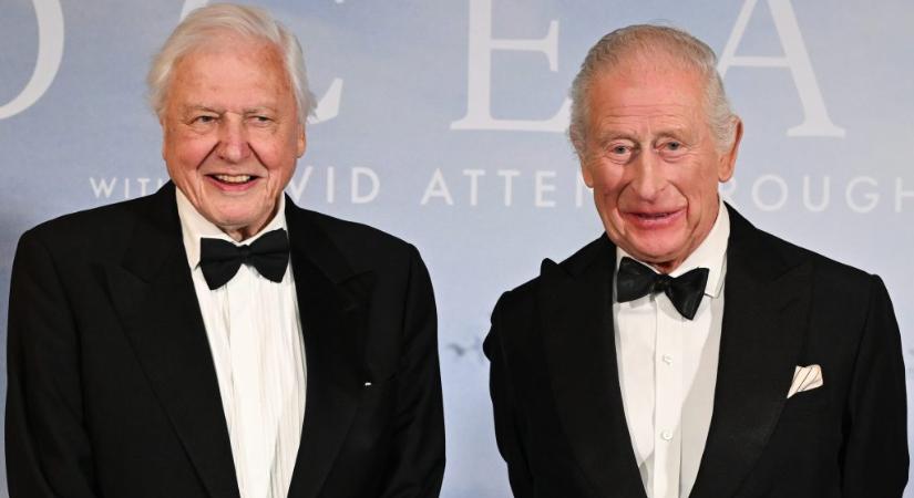 Charlie Chaplin lánya és a Modern Talking énekese is felköszöntötte a 100 éves David Attenborough-t