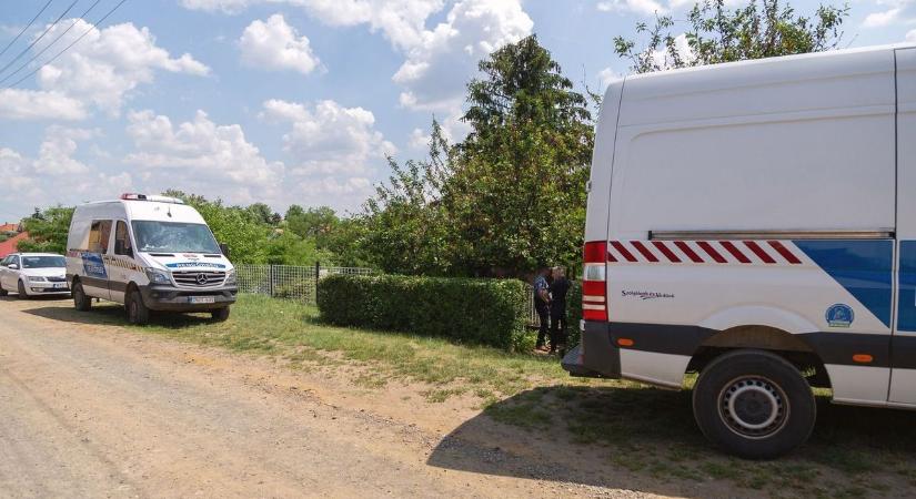 Brutális: lelőttek egy kutyát Baranyában, a kert végében talált rá gazdája