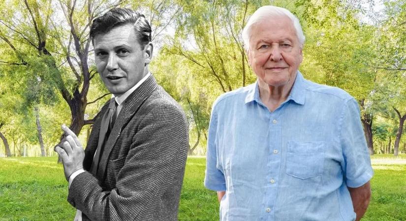 Százéves David Attenborough