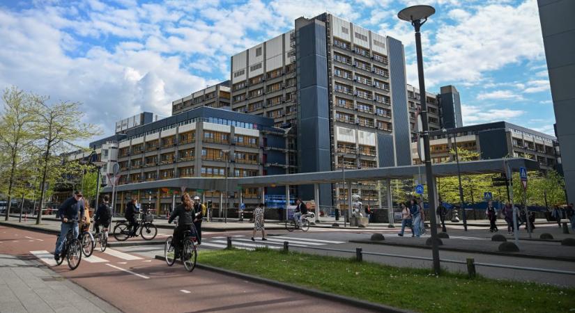 Két hollandiai kórházban is azonosították a hantavírust