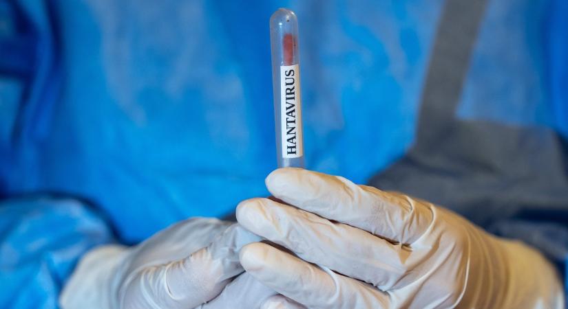 Itt az újabb világjárvány? Megszólalt a WHO a hantavírussal fertőzött hajóról