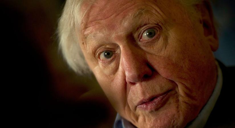 Kész, ennyi volt, David Attenborough hivatalosan már nem legózhat többé, de van egy kis fény még az alagút végén
