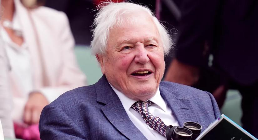A ma 100 éves Sir David Attenborough-nak nem csak a sárga teniszlabdákat köszönhetjük