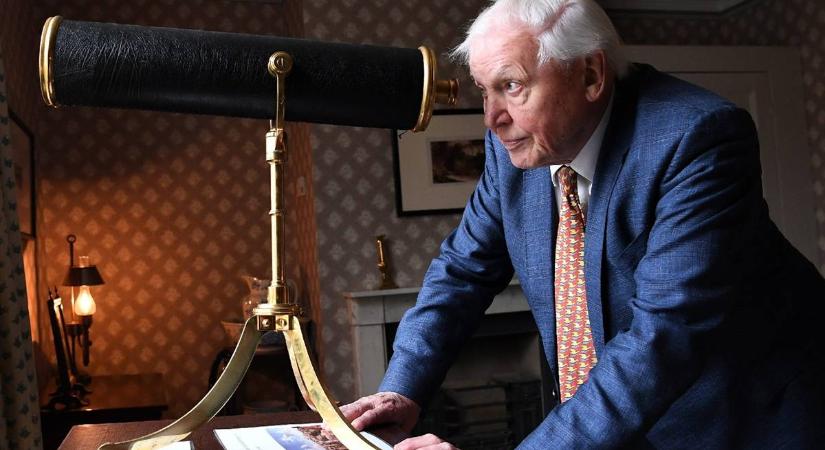 Egy évszázad a természet szolgálatában – 100 éves David Attenborough