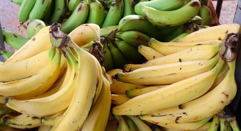 Zöld, sárga vagy barna: mikor a legegészségesebb egy banán?