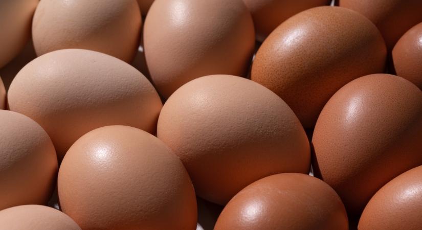 Magas koleszterin? Mégsem a tojás a bűnös! Ez történik a szervezetedben, ha minden nap megeszed