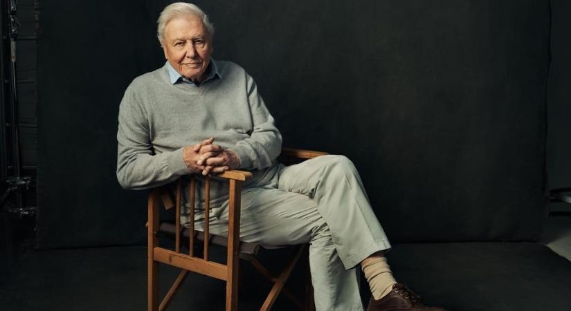 100 éves Sir David Attenborough – ez lehet a hosszú, egészséges élete titka