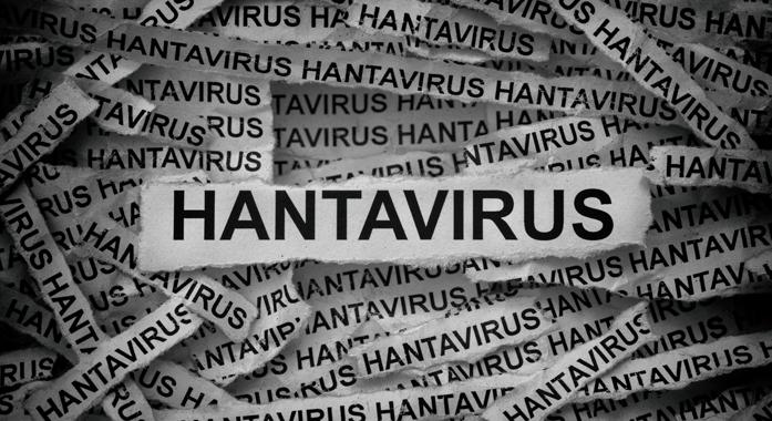 Hantavírusok – Ritka, de súlyos fertőzések rágcsálóktól