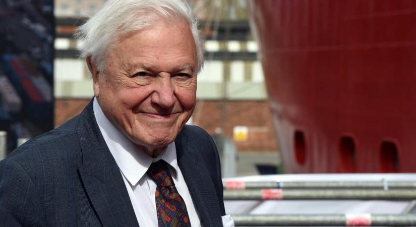 David Attenborough 100 éves, 5 ikonikus pillanat a természettudós életéből